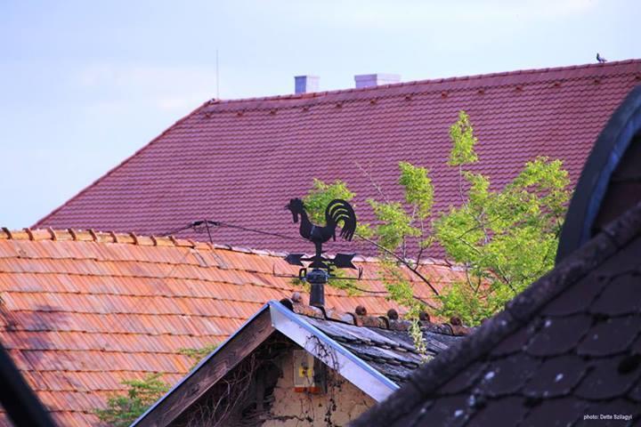 Rozmaringos Udvarház Dunafoldvar Exterior foto